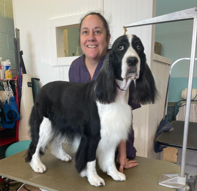 Pet Store Franchise Business Model